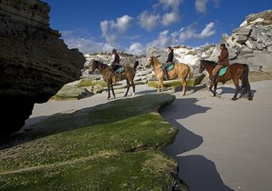 Week 5 of 2014 - Gansbaai News, Specials & Events